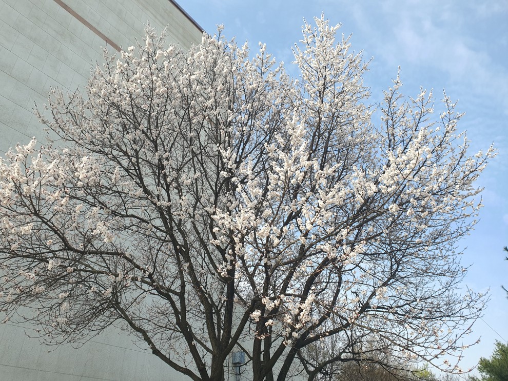 c9cb729b5c2111575e88f8d2c7d4a71f_1712024263_4048.jpg